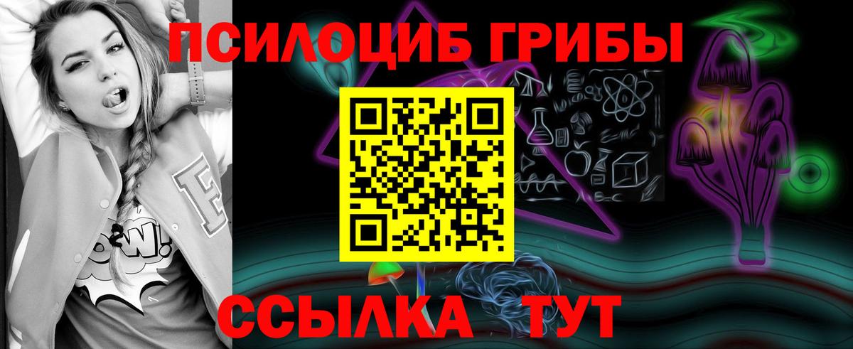 Псилоцибиновые грибы мухоморы  продажа наркотиков  Вход с VPN  Маркс  Псилоцибиновые грибы ЛСД 